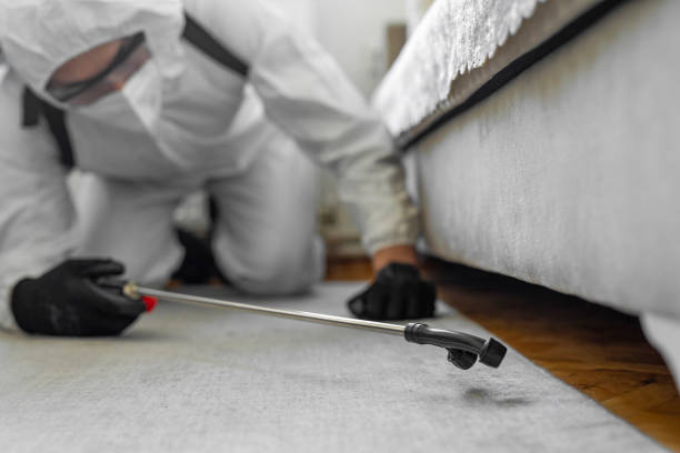 Professional Bed Bug Control technician working in West Liberty, WV