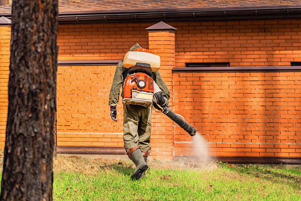 Trusted Bed Bug Control service in West Liberty, WV - Nex Pest Control